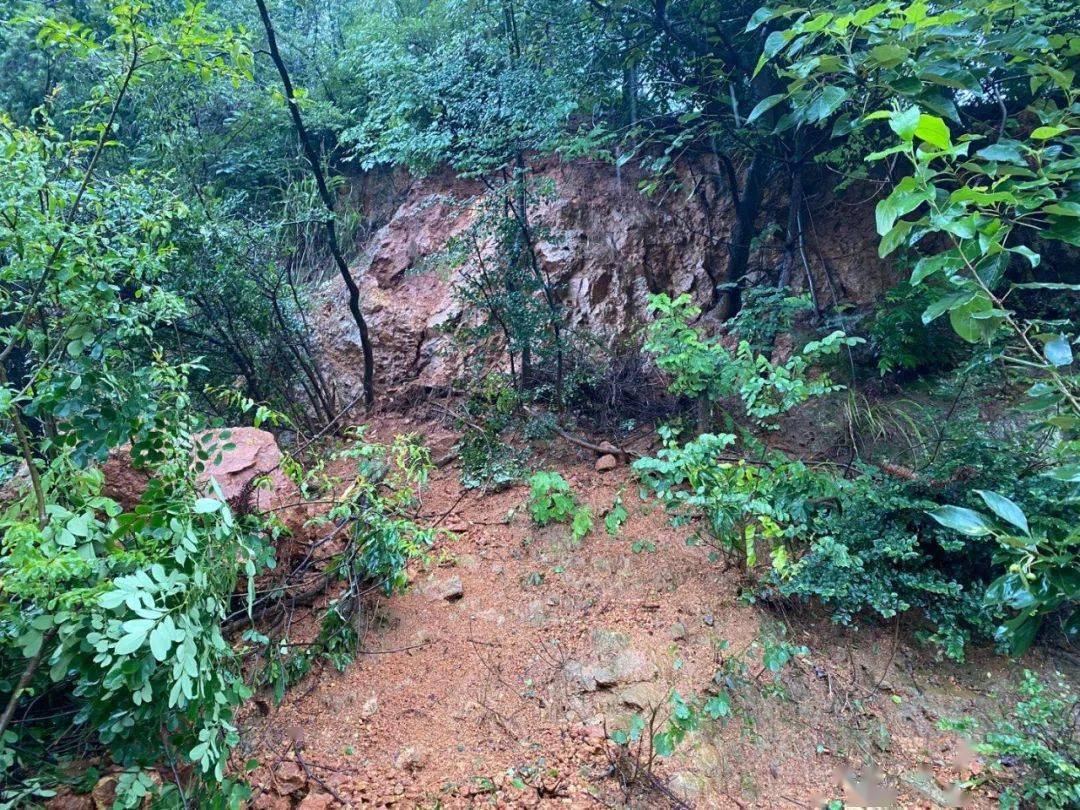 团城山街办防疏控打好防汛组合拳