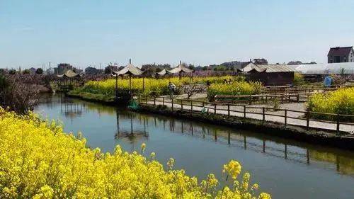 宝山区罗泾镇塘湾村