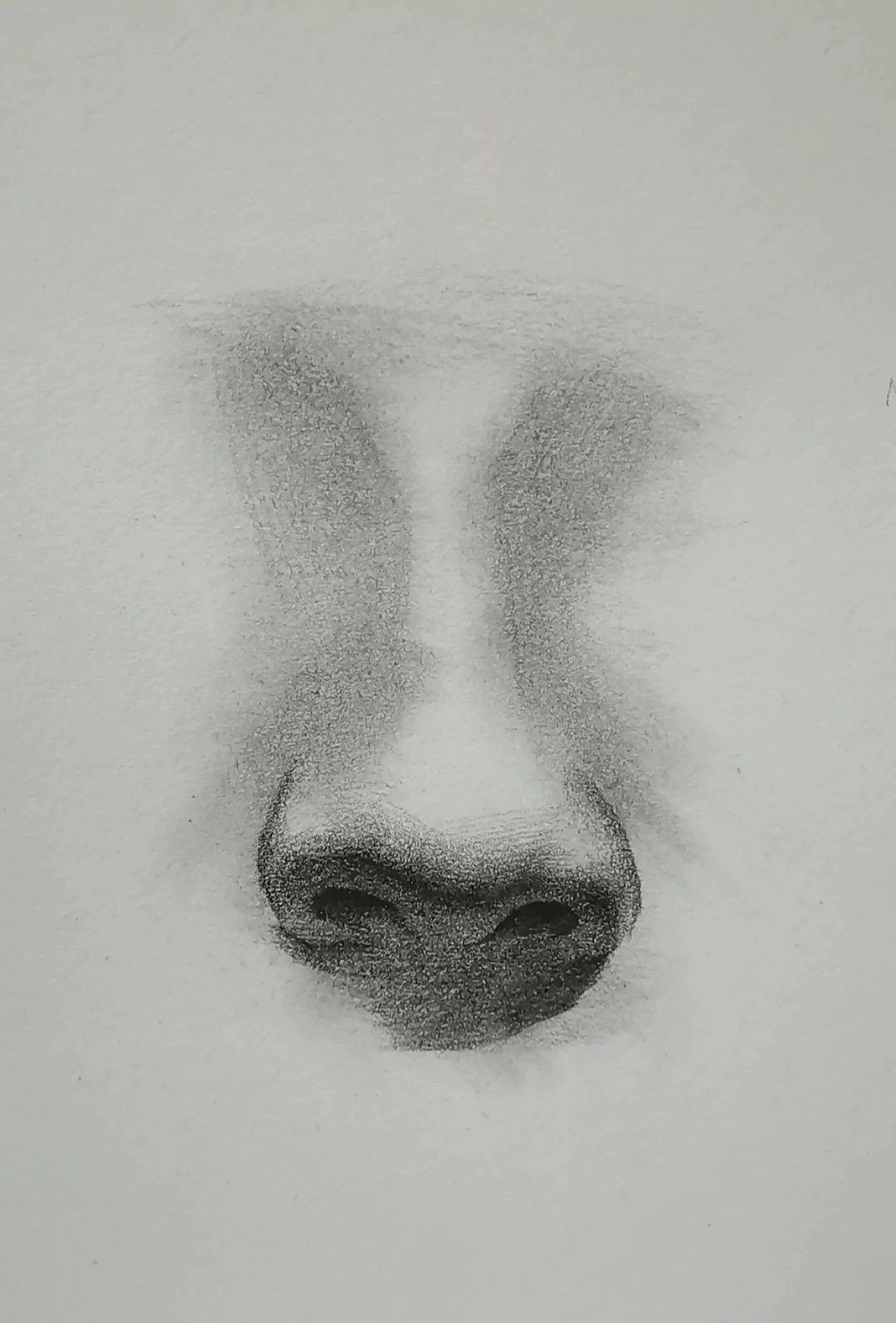 鼻子画法素描正面图片