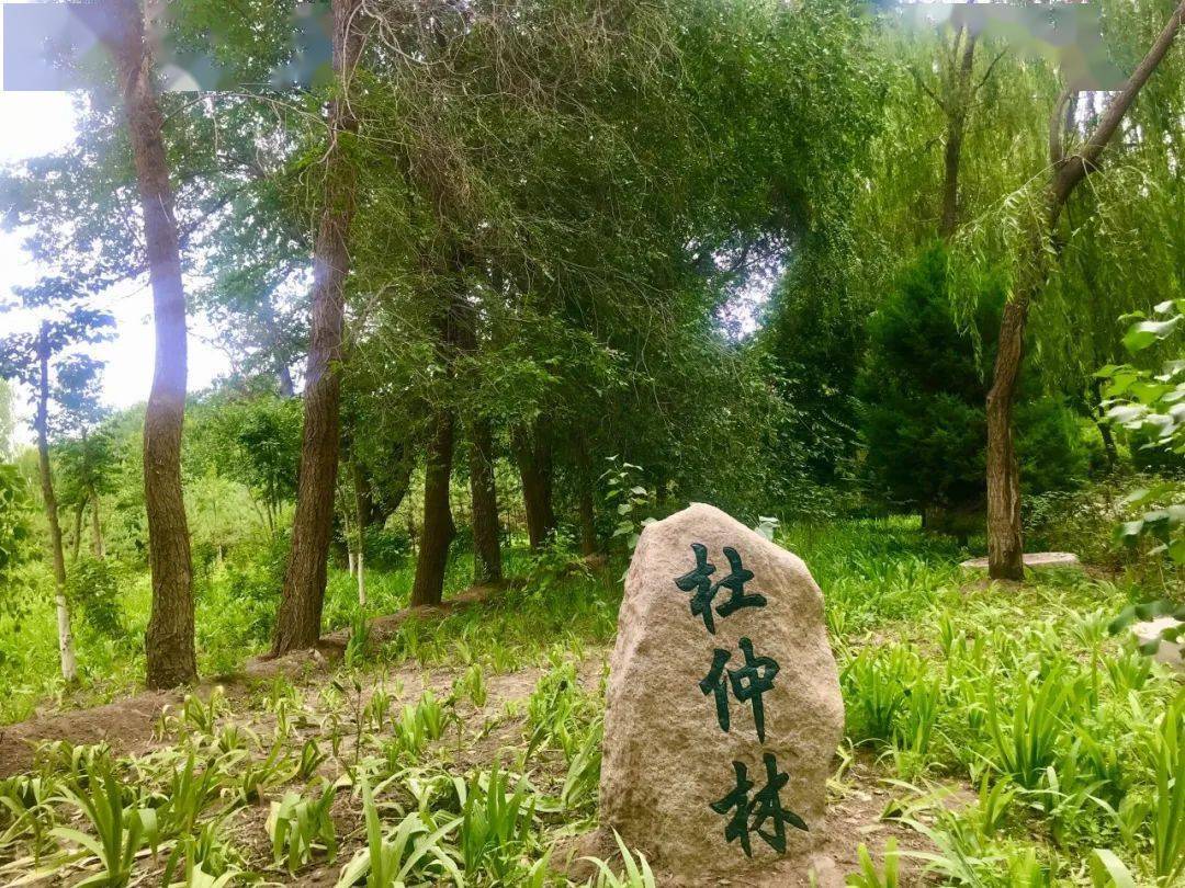 武威核桃园大变身新面貌首次曝光