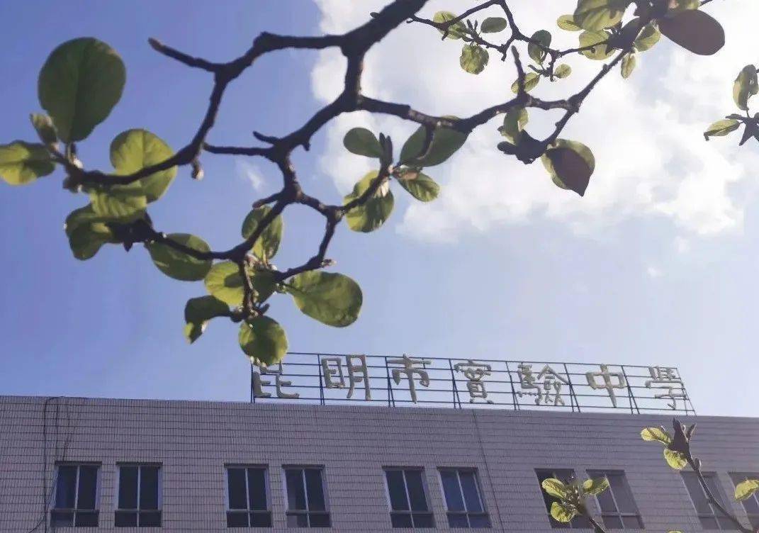 突然好想你,昆明市实验中学!_艺术类