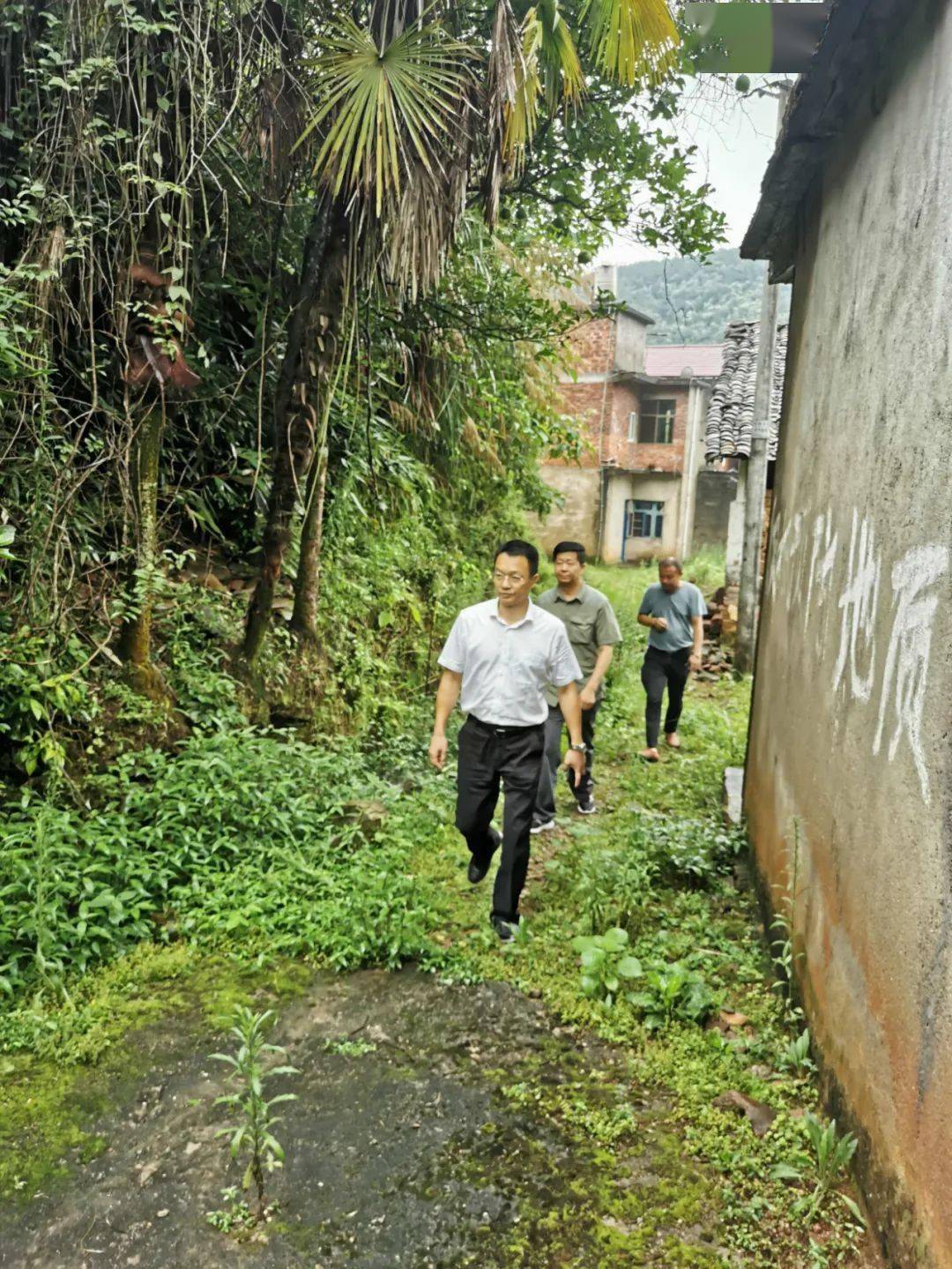 贵溪市雷溪乡杨强事件图片