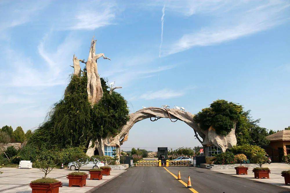 乘风破浪关于夏天冲浪的心动瞬间都藏在菏泽这个景区里