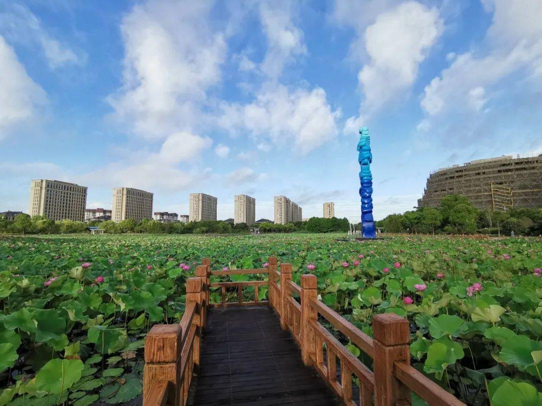 祝桥海天湖邀你来赏荷花