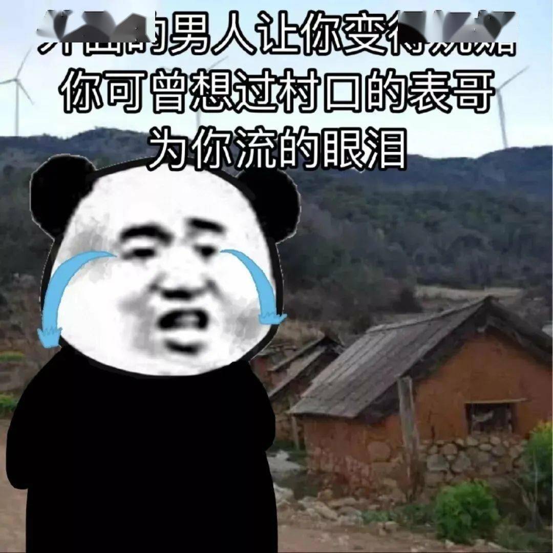 熊貓頭表情包i渣男從不心動