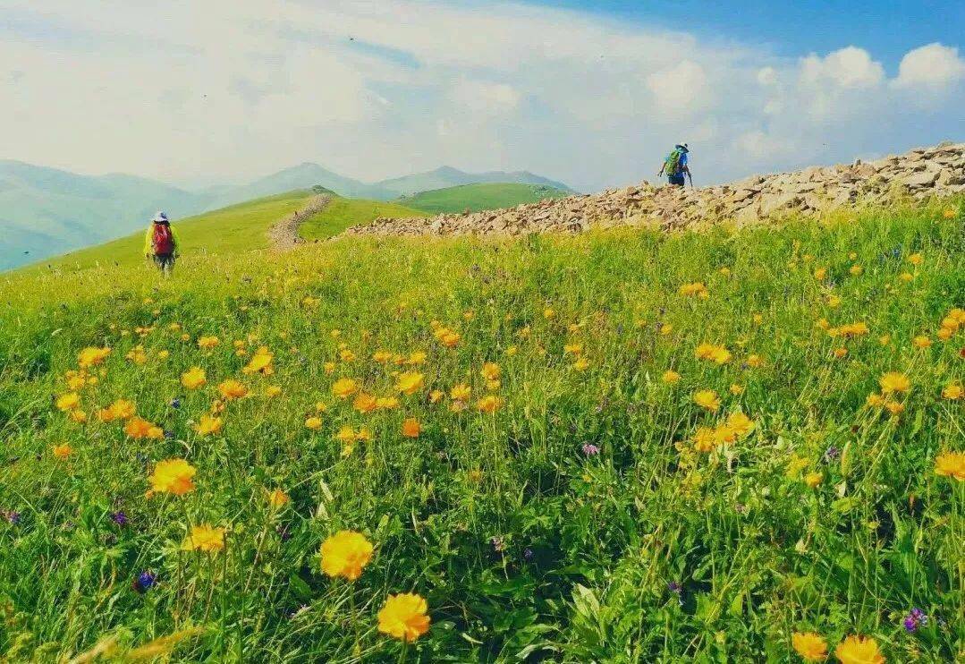 『2日露营 步步生花&徒步玉石梁喜鹊梁』7.18-19日丨徒步北方小武