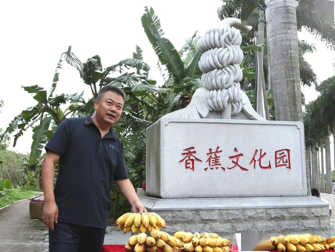 东莞麻涌香蕉基地图片