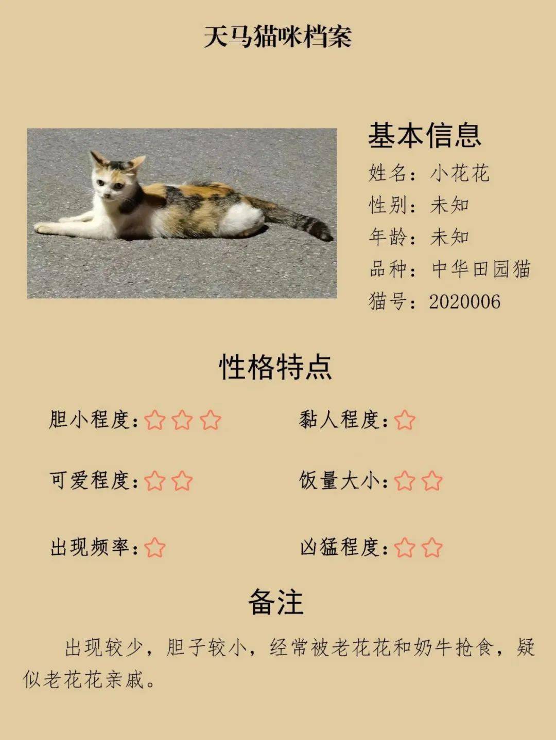 可爱!湖大一老师给流浪猫建档案