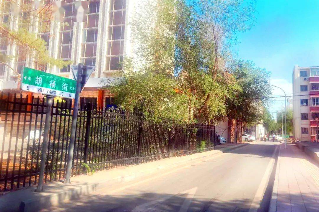 南北走向,南起北四路,北至幸福路,位于石河子市向阳街道22社区天泽