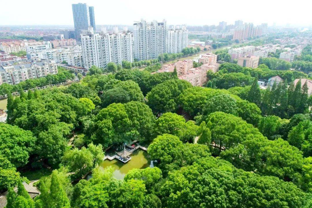 惠南镇上的这个江南园林,终于藏不住啦!一步一景,曲径通幽!