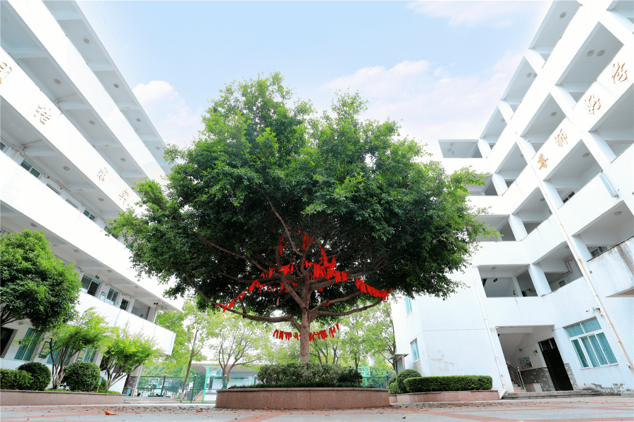 但五中人深知,向我们扑面而来.