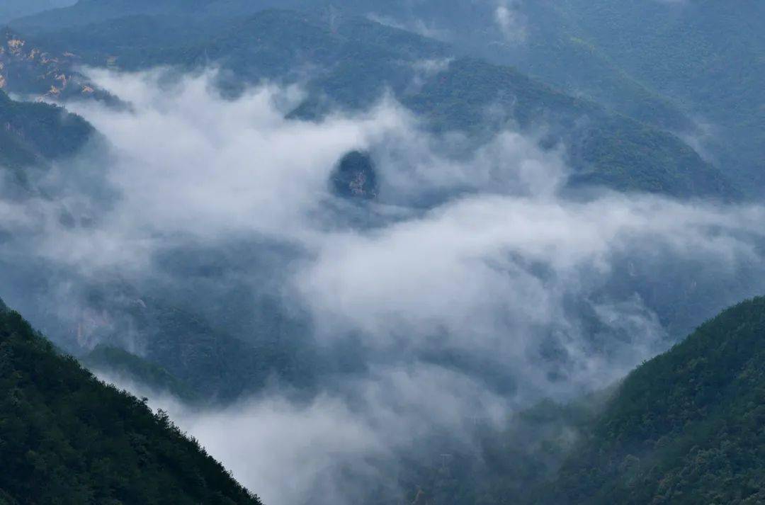 天台人讲故事┃民间传说乾隆皇帝题桃源诗