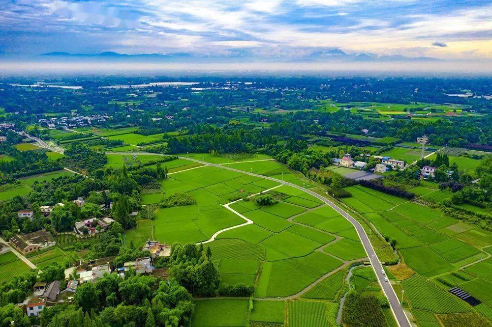 成都郫都区:城乡融合探新路 起好示范再出发