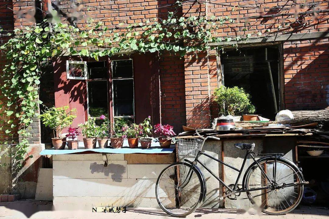 回望老道外的烟火气息百张照片讲述市井生活