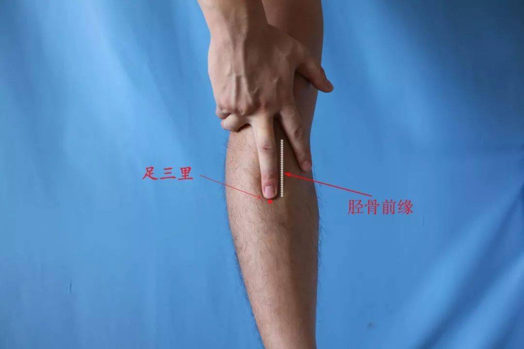 巧用三伏贴,远离过敏性鼻炎