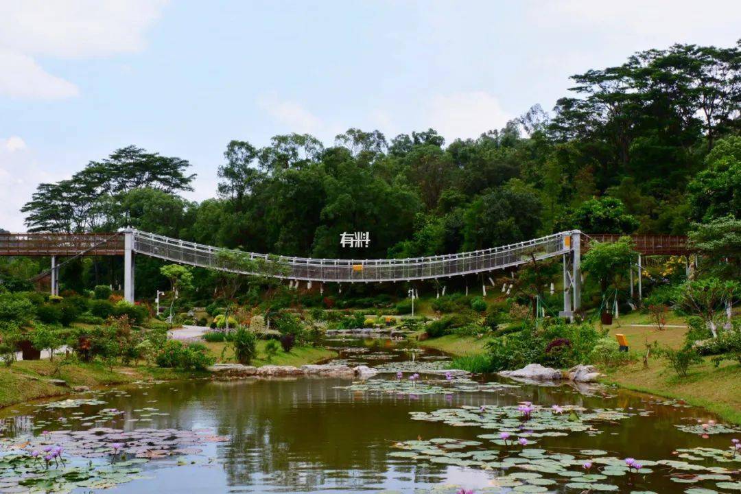 來東莞這裡,一秒穿越到歐洲,新馬泰!_植物園