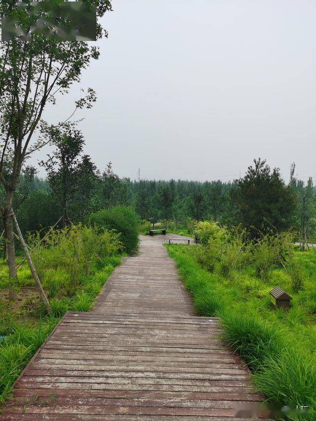 来广营新开的公园美成这样骑行者滑板高手欢迎来炫技