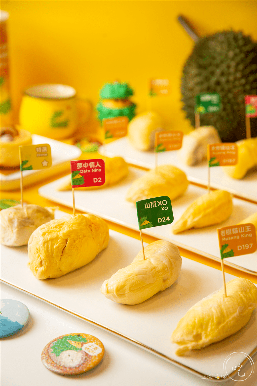 马来西亚榴莲宝宝到黄浦正宗猫山王来了