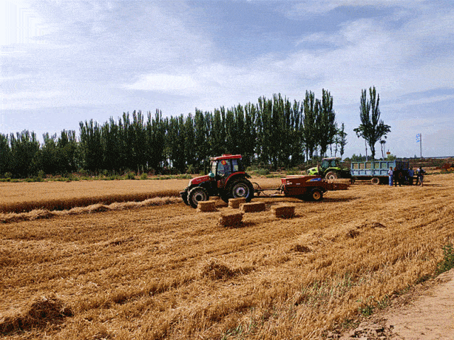 640_480gif 动态图 动图