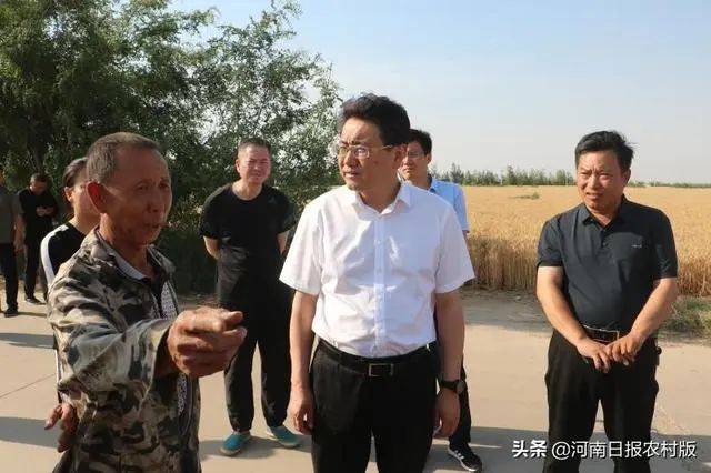 【河南日报】县长贾晓军解读汤阴优质小麦发展