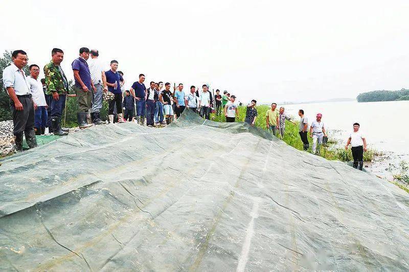 军民携手干群一心我市众志成城防汛抗洪抢险救灾剪影