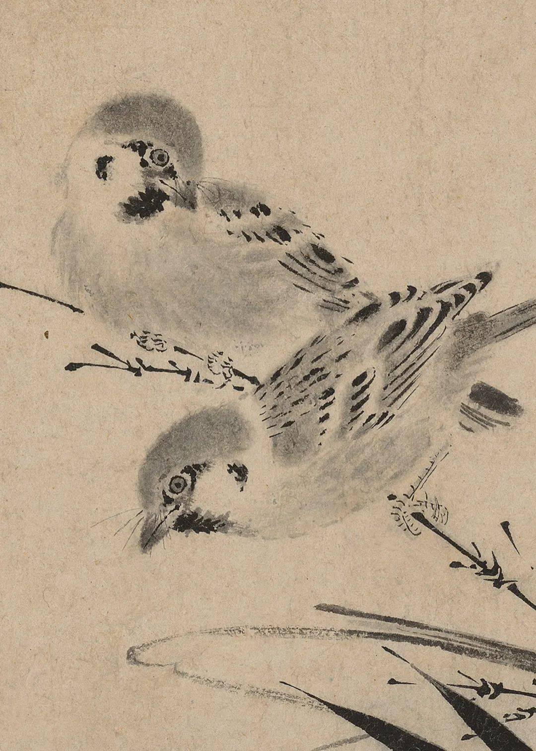 宋徽宗:写生珍禽图