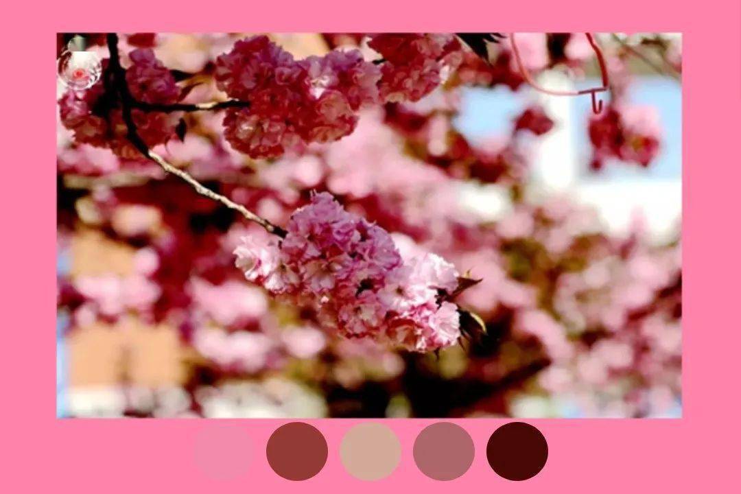 2020高考生送你21张临大专属风色卡