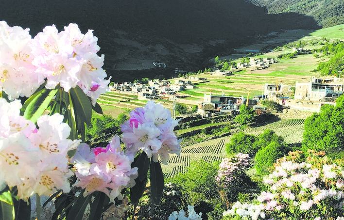 董马村地处高半山,土地贫瘠,庄稼产量很低,唯一的通村路是条土路,遇到