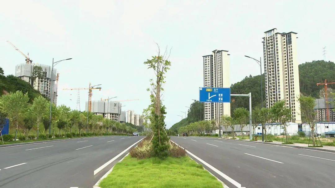 这条路通车了,增城来往黄埔更方便!_大道