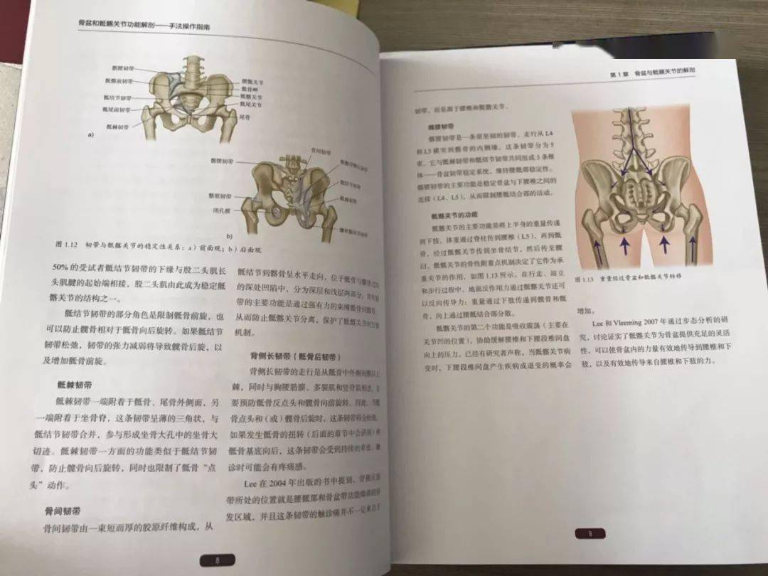 《骨盆和骶髂关节功能解剖手法操作指南》