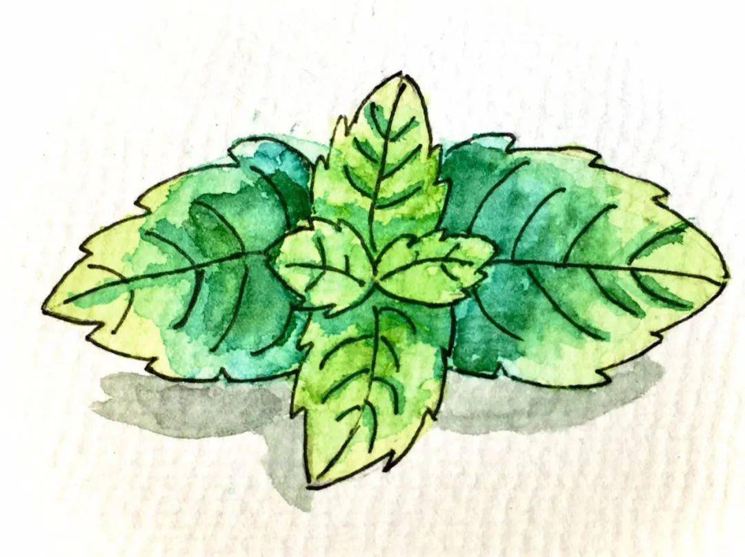 粉丝投稿77的粉丝真的是太棒了大佬们都开始冒头了