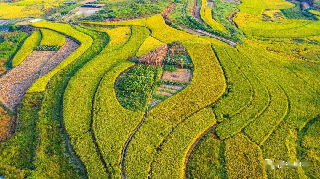 隆安金鸡滩图片