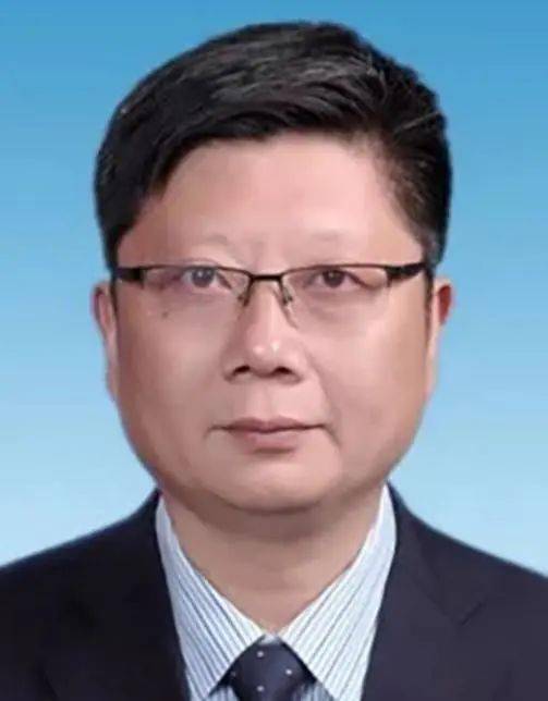 杨泽发武汉临空港经开区工委书记,管委会主任 东西湖区委书记走进演播