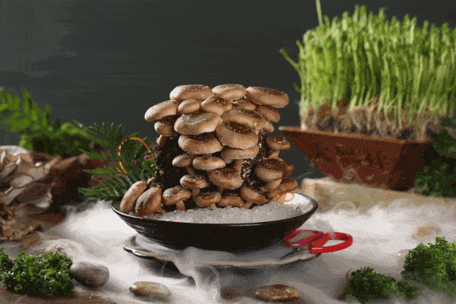 639_426gif 动态图 动图