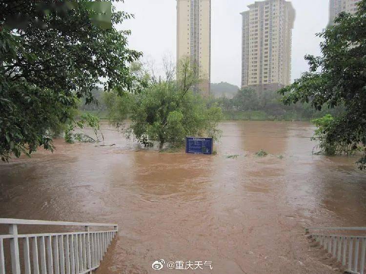 重慶暴雨!洪水衝進辦公樓:員工落荒而逃 現場一片狼藉