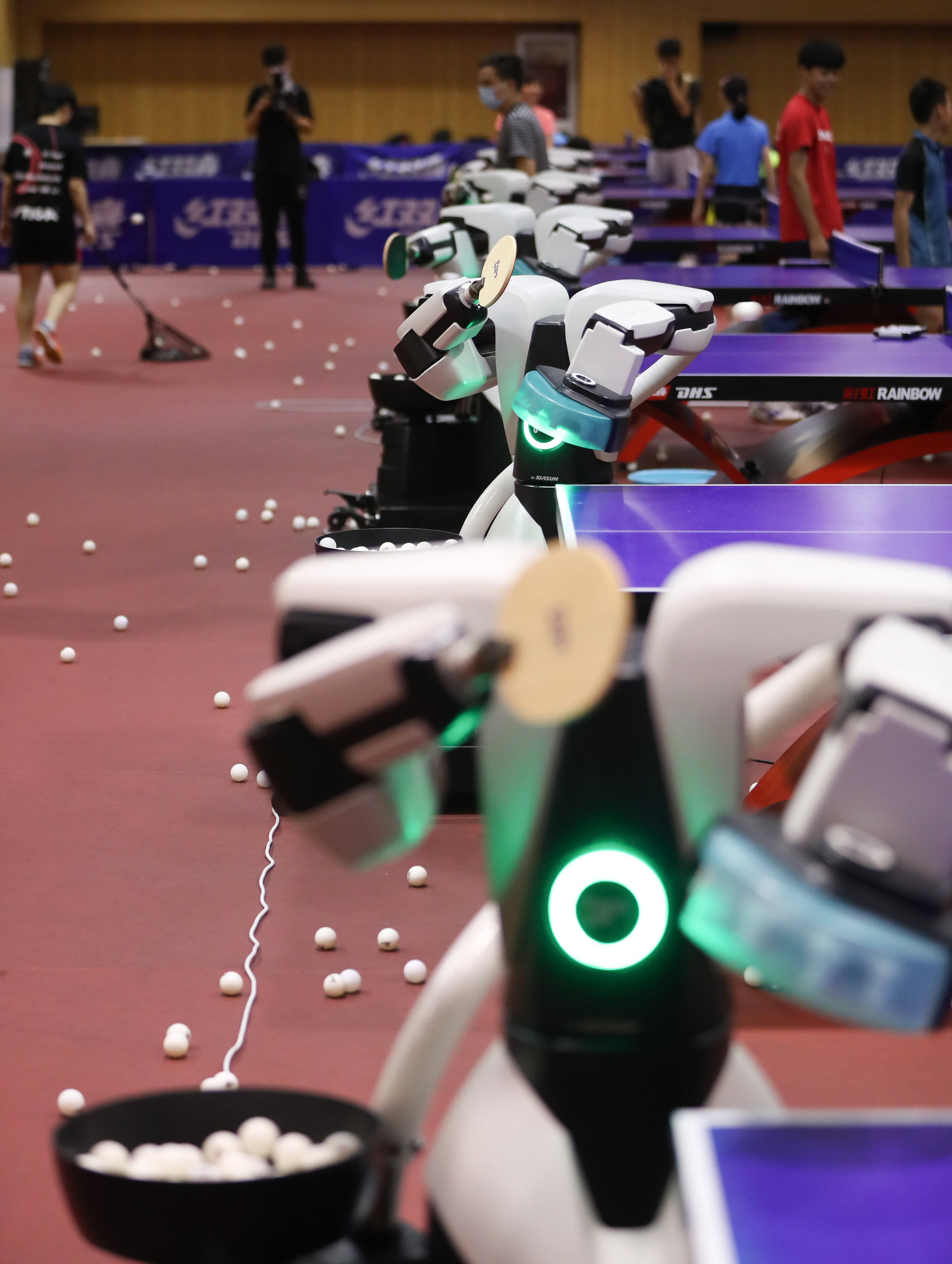 创屹科技发布全新HALO乒乓球发球机器人系列 持续拓展智能体育闭环式数字化场景 | 每日经济网
