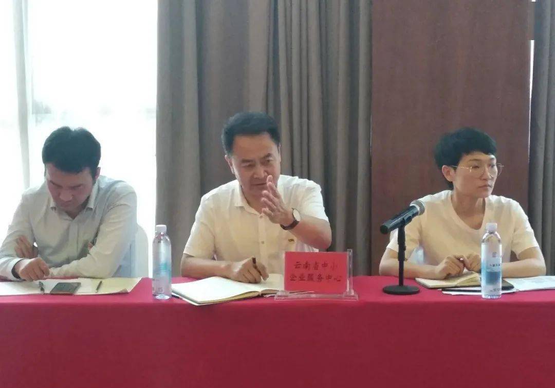 干在实处走在前列志愿服务精准帮扶助推中小企业高质量发展