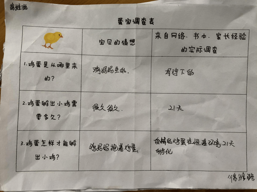 课程孵化小班段的小故事咯咯哒来了