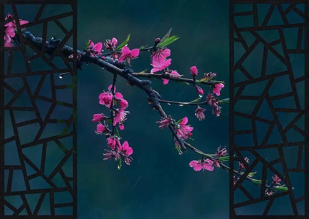 伤感之美,五首冷门诗词邀你月下倚玉阑_梅花候