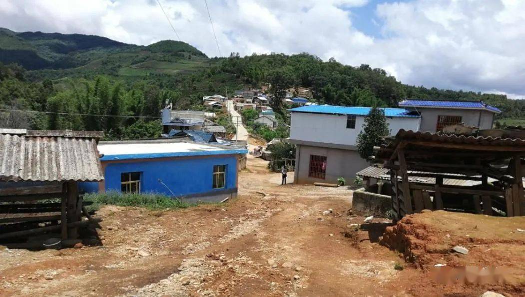 上海帮扶助南栅村蚕桑产业脱贫走出新丝路