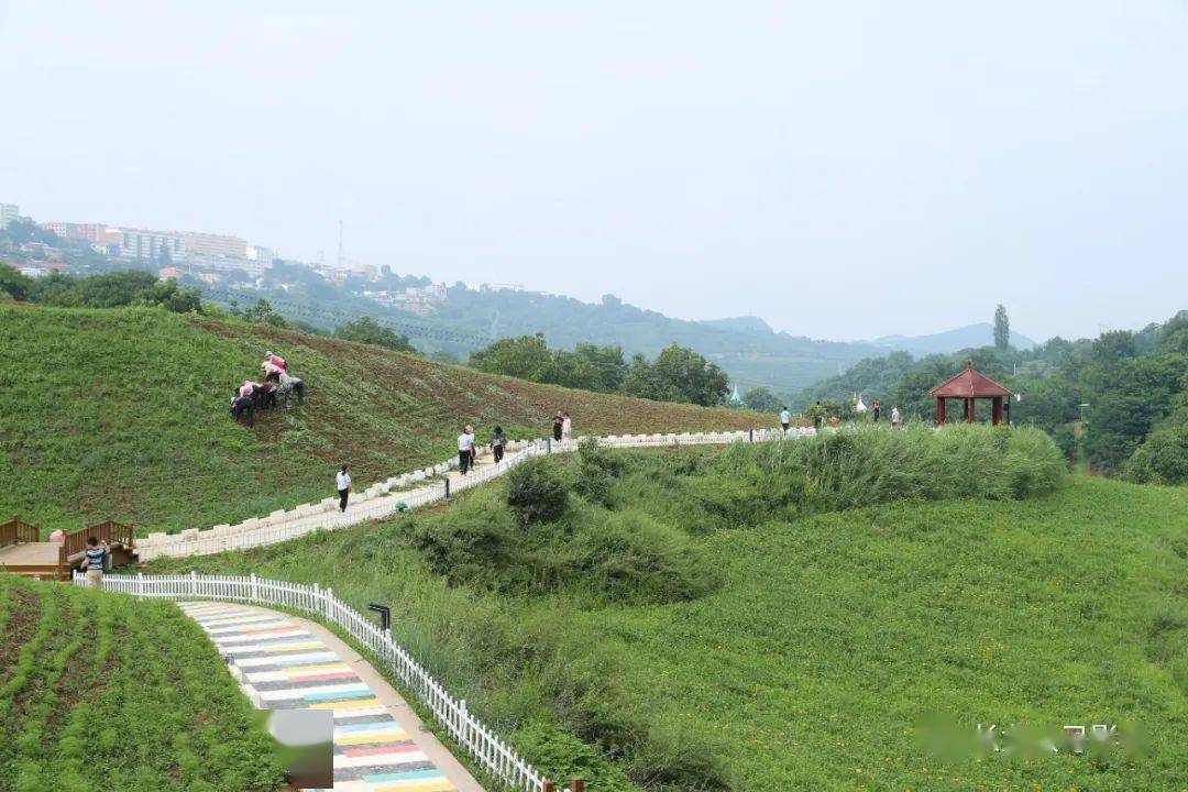 宜君动漫花溪谷开园 · 2020颜值曝光!_的花海