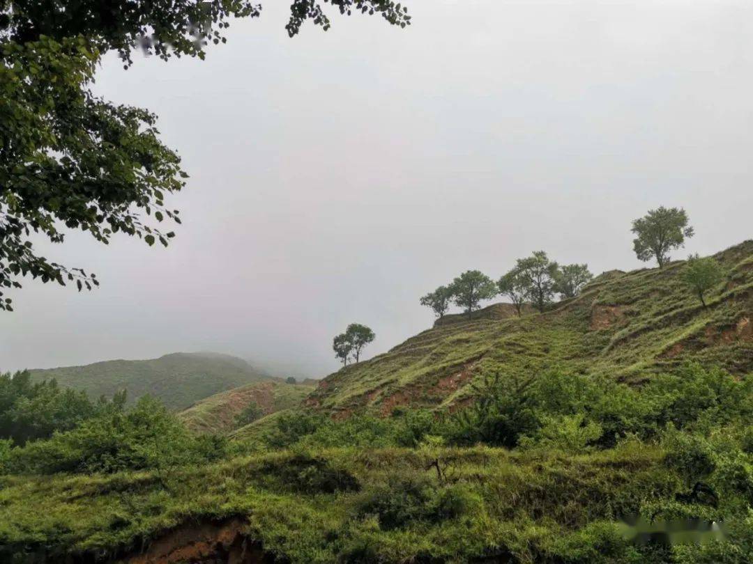 苍龙山景区风光中国革命老区项目东忻县革命老区旧址实物展厅通往景区