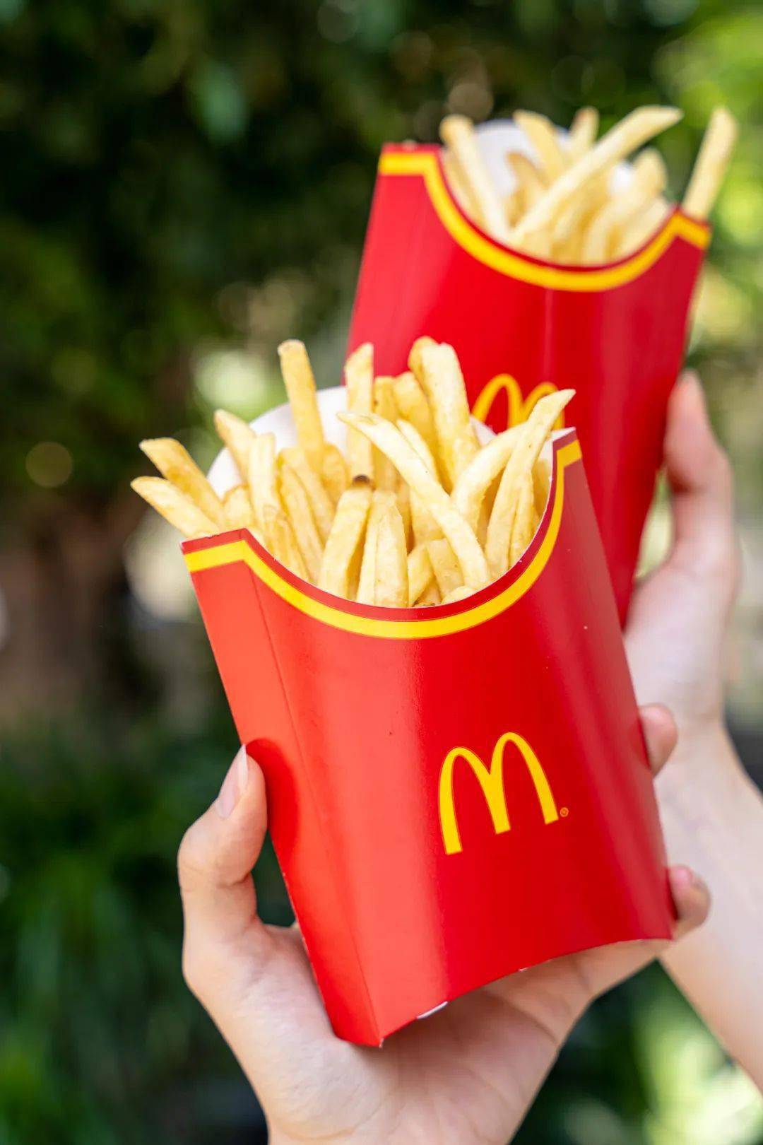 续大薯 一共5款猫爪爪,59元/个,包含1个盲盒 10元麦当劳食品兑换券