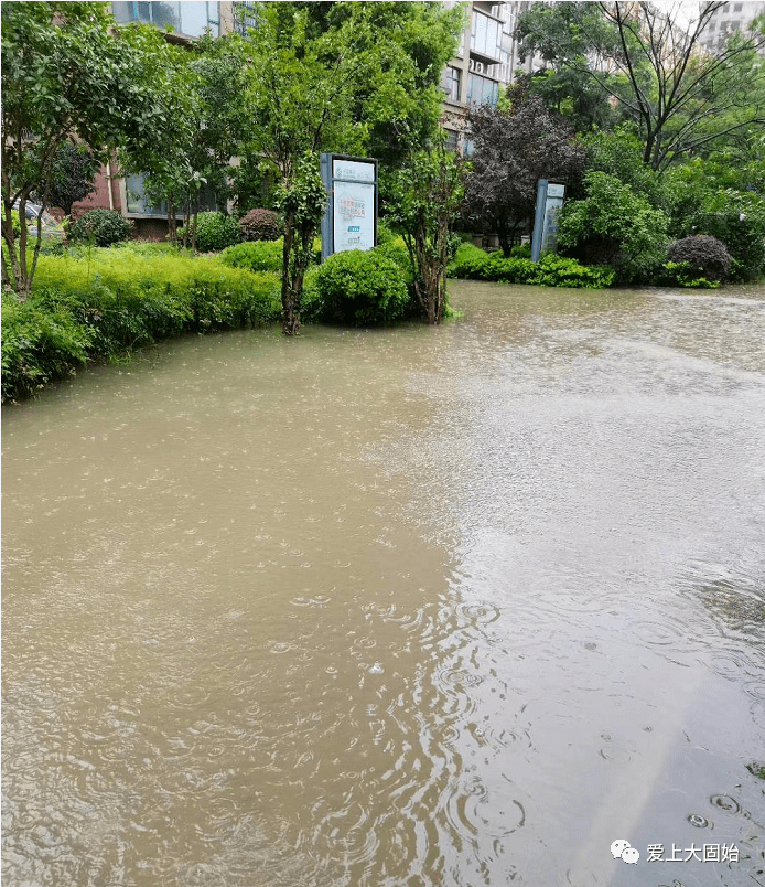 暴雨袭城!固始城区和乡镇多处被淹,救援正在进行,现场视频曝光.