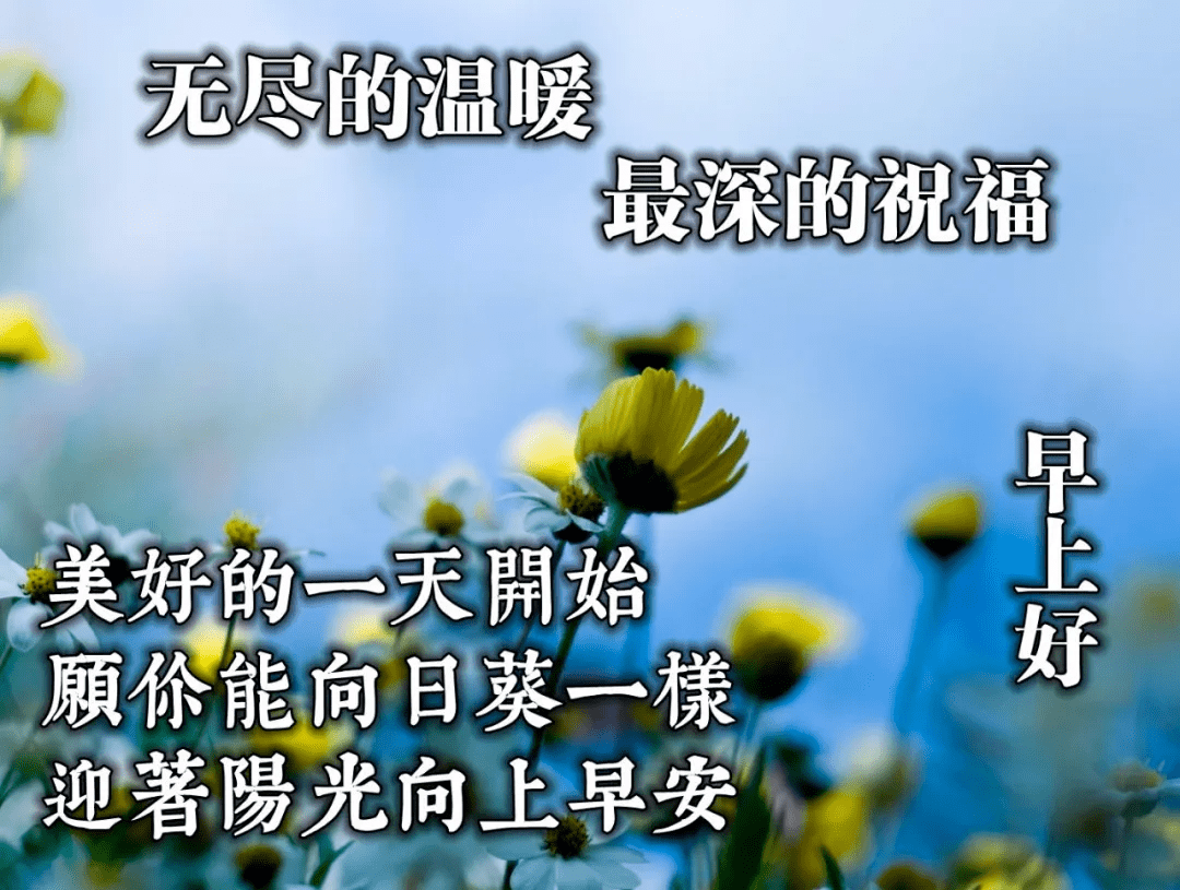 微信適合群發給朋友的溫馨早安問候語非常漂亮的美女圖片帶早安問候語