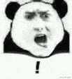 熊猫表情包动态图震惊图片