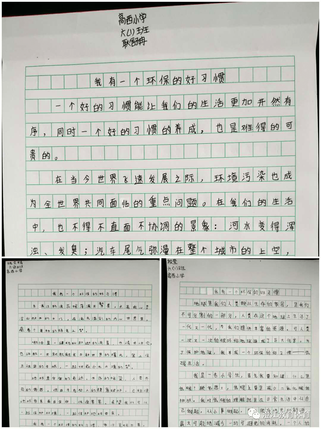 保护环境 美化家园