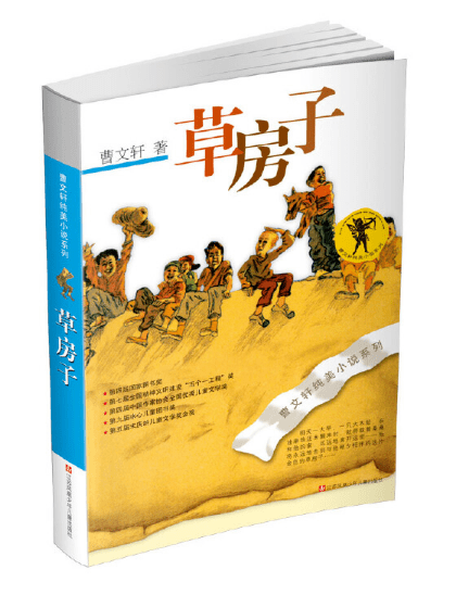 荐书| 《草房子》:笑与泪,苦难与成长_人物