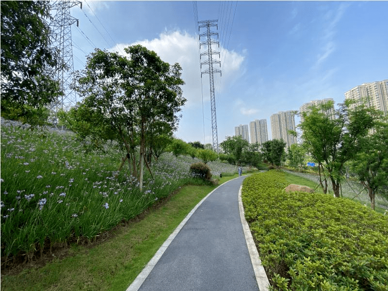 两江新区启动综合公园,专类公园,社区公园,游园和郊野公园,森林公园