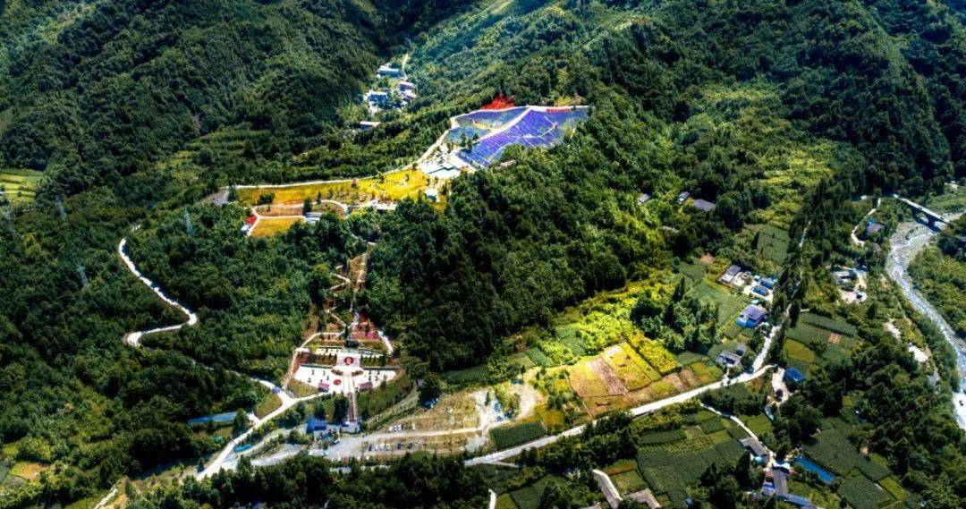 遇见鱼凫香山,遇见一场山水与花的邂逅……_的花海